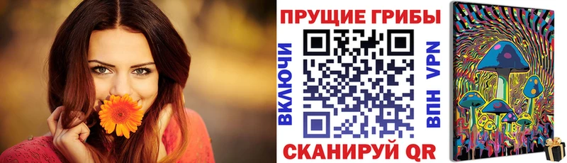 Купить где  Мещовск  Галлюциногенные грибы GOLDEN TEACHER 